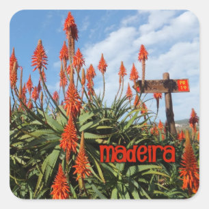 Madeira Aloe stickers