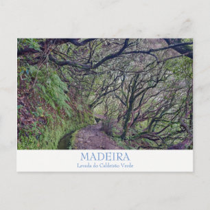 Madeira - Caldeirao Verde postcard with text