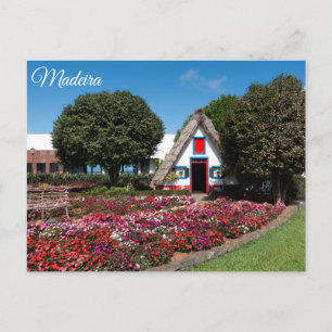 Madeira Island, Portugal Postcard