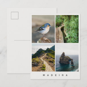 Madeira nature and landscapes Travel photo Collage Postcard