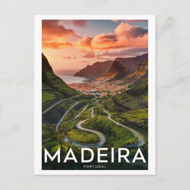 Madeira Portugal  Postcard (Front)