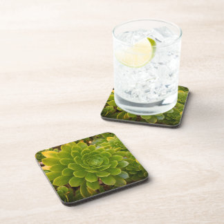 Madeira's Green Embrace Coaster