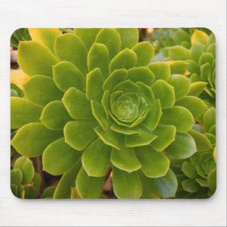Madeira's Green Embrace Mouse Pad