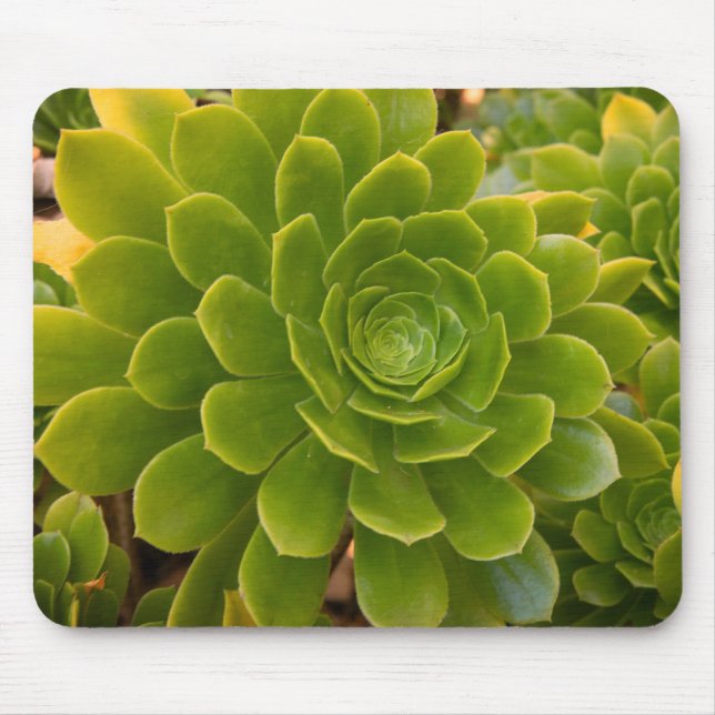 Madeira's Green Embrace Mouse Pad (Front)