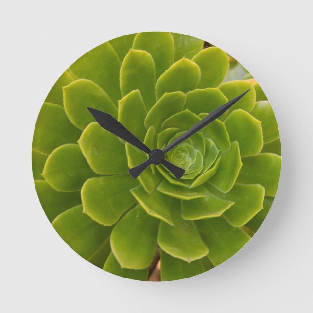 Madeira's Green Embrace Round Clock (Front)