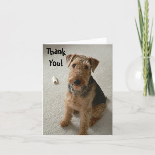 Madeleine Thank You Notecard