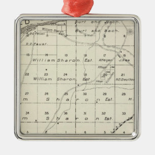Madera County, California 5 Metal Tree Decoration