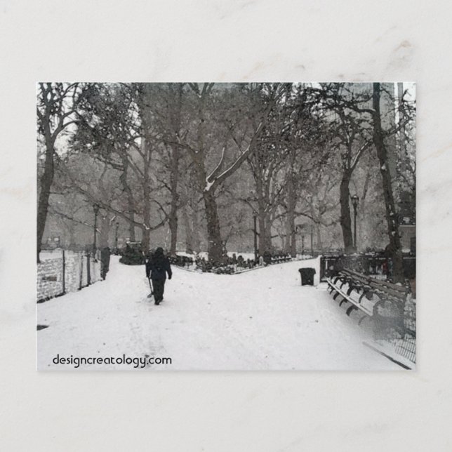 Madison Square Garden Postcard (Front)