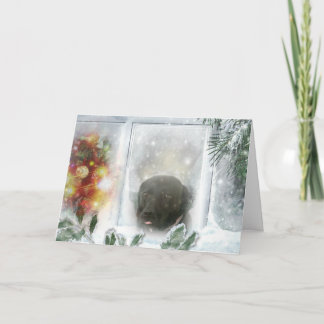 Madison the Black Labrador Christmas Card