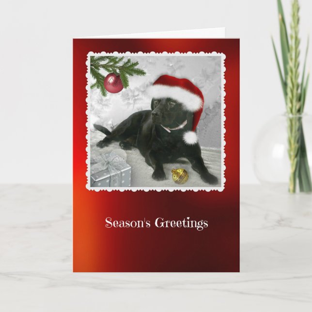 Madison the Black Labrador Christmas Card (Front)