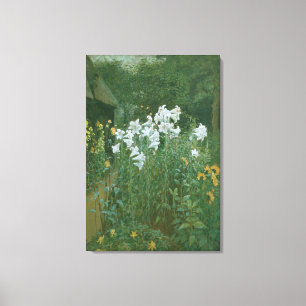 Madonna Lilies in a Garden Canvas Print