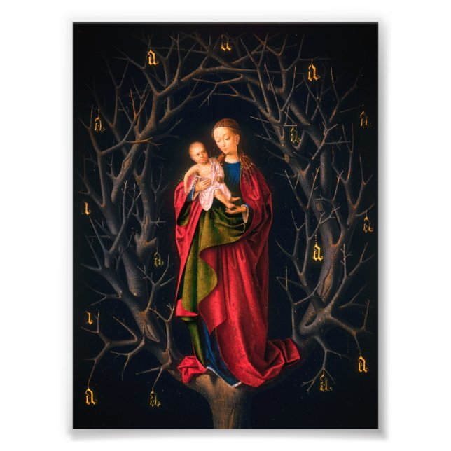 Madonna of the Dry Tree (Petrus Christus, 1462-5) Photo Print (Front)