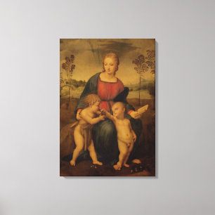 Madonna of the Goldfinch, c.1506 Canvas Print