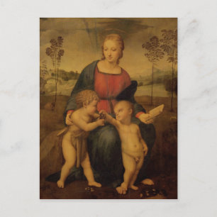 Madonna of the Goldfinch, c.1506 Postcard