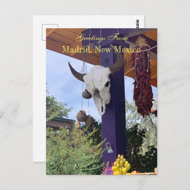 Madrid NM Bull Skull Red chile ristra Postcard (Front/Back)