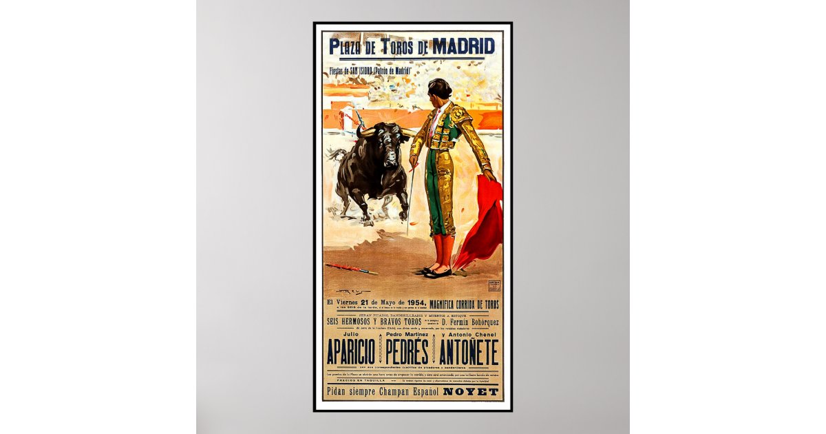 Bullfighting case study Bullfighting case study picture