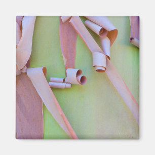 Madrone Tree Bark Abstract Magnet