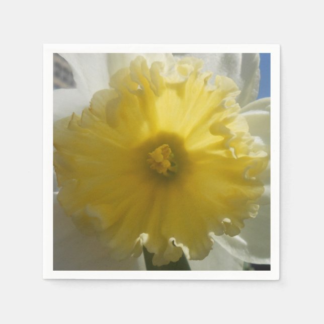 Maenad Napkin (Front)