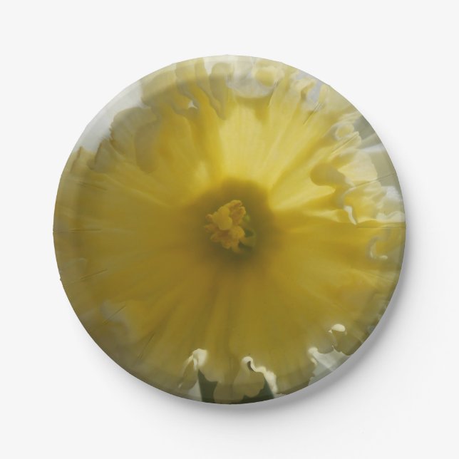 Maenad Paper Plate (Front)