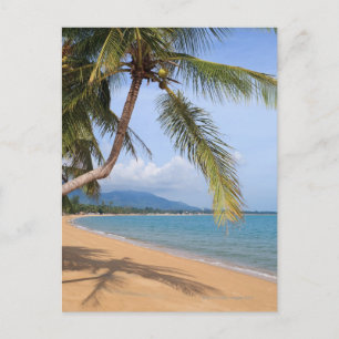 Maenam beach. postcard