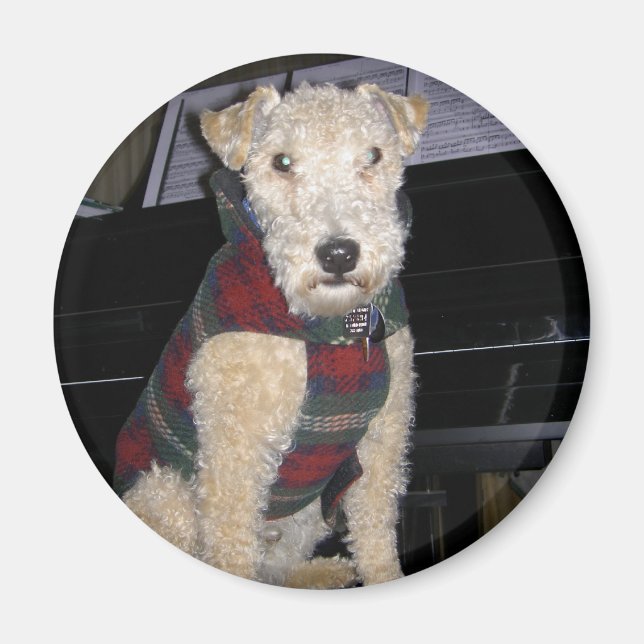 Maestro Groupie Magnet (Front)