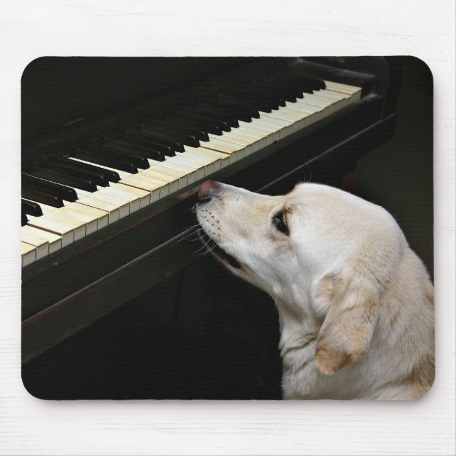 maestro mouse pad (Front)