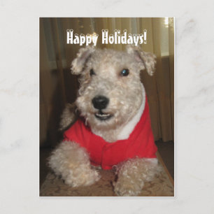 Maestro the Lakeland Terrier Christmas Cards