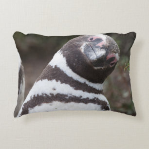 Magellanic Penguin Portrait Decorative Cushion