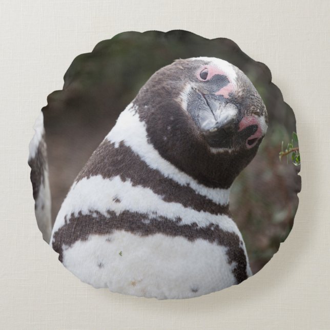 Magellanic Penguin Portrait Round Cushion (Front)