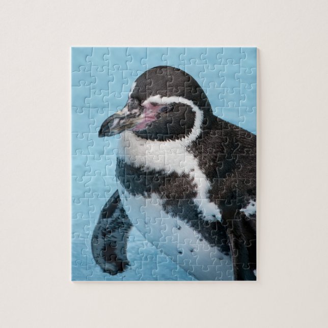 Magellanic Penguin  Puzzle (Vertical)