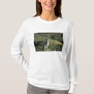 Magellanic Penguin (Spheniscus magellanicus), T-Shirt