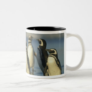 Magellanic Penguins, Spheniscus Two-Tone Coffee Mug