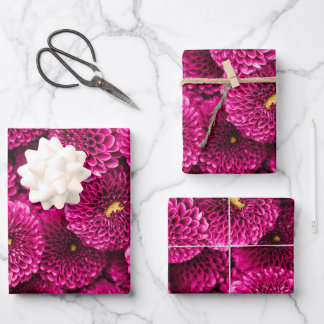 Magenta Chrysanthemum Floral Wrapping Paper