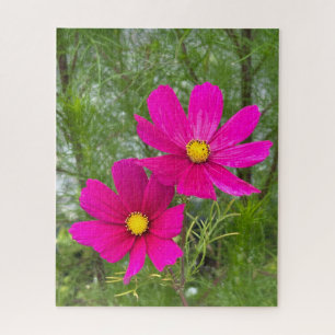Magenta Cosmos, Quebec City Jigsaw Puzzle