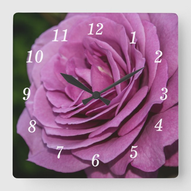Magenta Garden Rose Wall Clock (Front)
