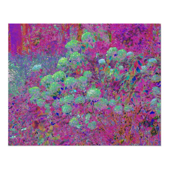 Magenta Garden with Aqua Hydrangea Flowers Poster (Front)