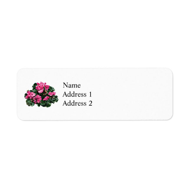 Magenta Geraniums (Front)