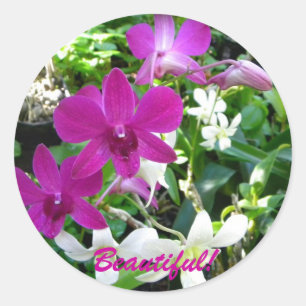 Magenta Orchids Classic Round Sticker