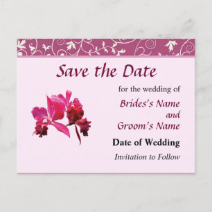 Magenta Orchids Save the Date Announcement Postcard