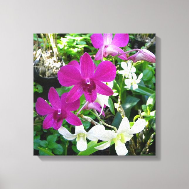 Magenta Orchids Wrapped Canvas (Front)