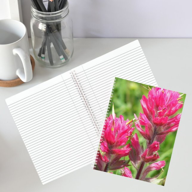 Magenta Paintbrush Blooms Floral Notebook (In Situ)