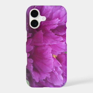 magenta peony flower