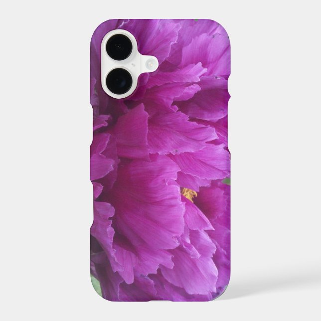 magenta peony flower (Back)