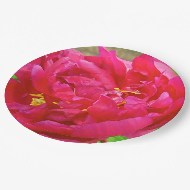 Magenta Peony Petals-Paper Party Plates (Angled)