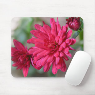 Magenta Pink Mum Flowers Mouse Pad