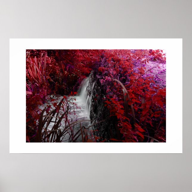 Magenta Poster (Front)