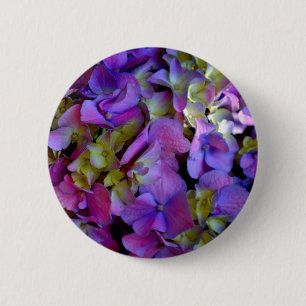 Magenta Purple Hydrangeas  Purple blue yellow  6 Cm Round Badge