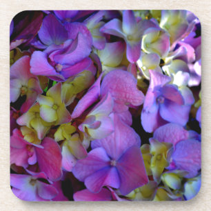 Magenta Purple Hydrangeas Purple blue yellow Coaster