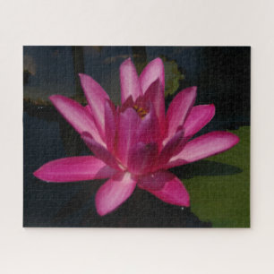 Magenta Waterlily Jigsaw Puzzle