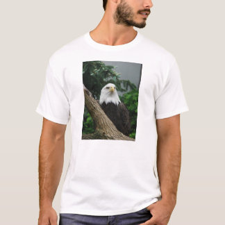 magestic bald eagle resting in tree T-Shirt